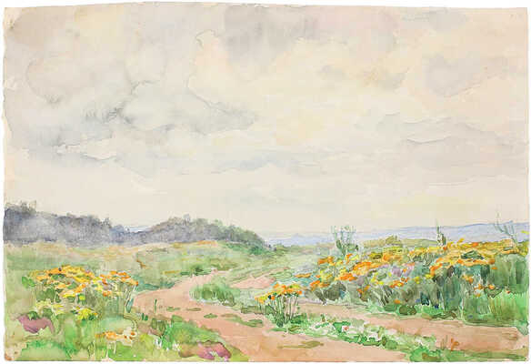 Морозов Константин Феофанович. Полевые цветы 